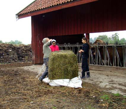 Odling under längre tid ger barn insikter om sin roll och delaktighet i miljön. Miljön blir något som berör och går att påverka.