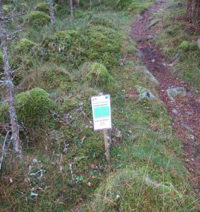 3. Förberedelser Fibern kan komma in till din tomt(gräns) på två sätt: Antingen via en elstolpe, eller nedgrävd.