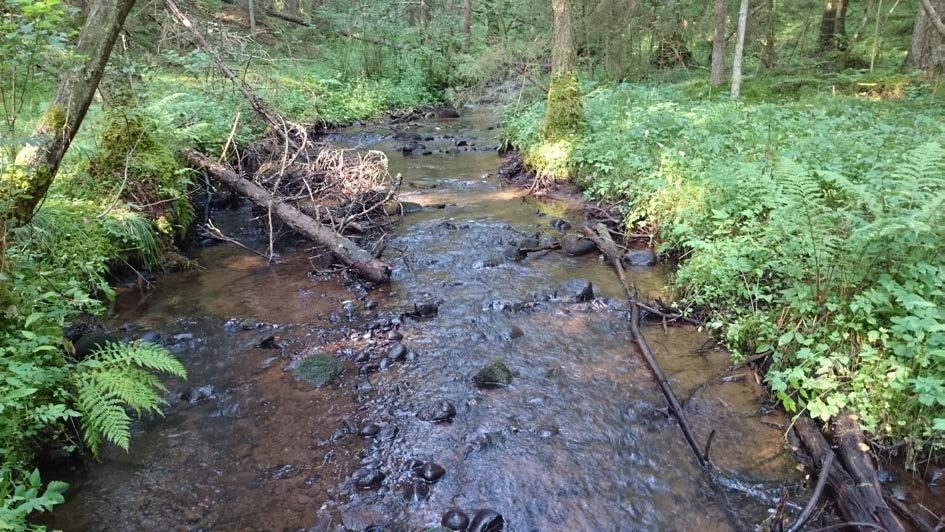 Elfiske i Jönköpings kommun