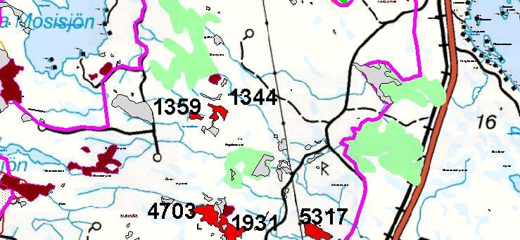 Bestånd nr 1359 Värdekärna: Ja (Nyckelbiotop, klass 1) Beskrivning: Tallskog ca 170 år,