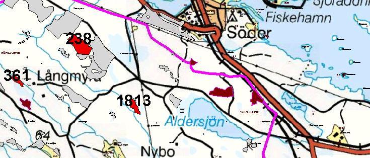 Bestånd nr 1813 Värdekärna: Ja (Nyckelbiotop, klass 1) Beskrivning: Tallskog ca 180 år. Luckig skog med underväxt av gran.