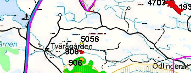 Bestånd nr 5056 Värdekärna: Ja (Högt naturvärde, klass 2) Beskrivning:
