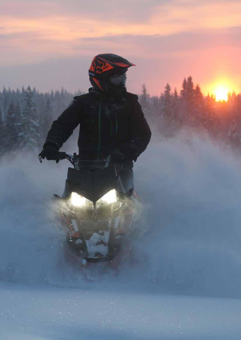 Teo Lehtimäki Oy 2017
