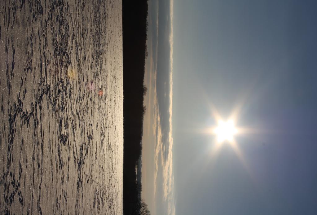 Gläns över sjö och strand Gläns över sjö och strand, stjärna i fjärran Du som i österland, tändes av Herran Stjärnan