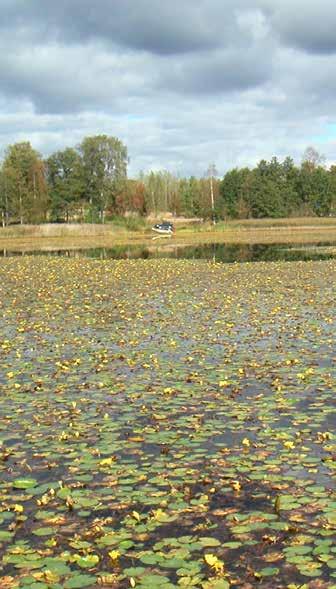 Det arbetet ligger lite på framtiden just nu. EU vill gärna ha alla processer i hamn först.