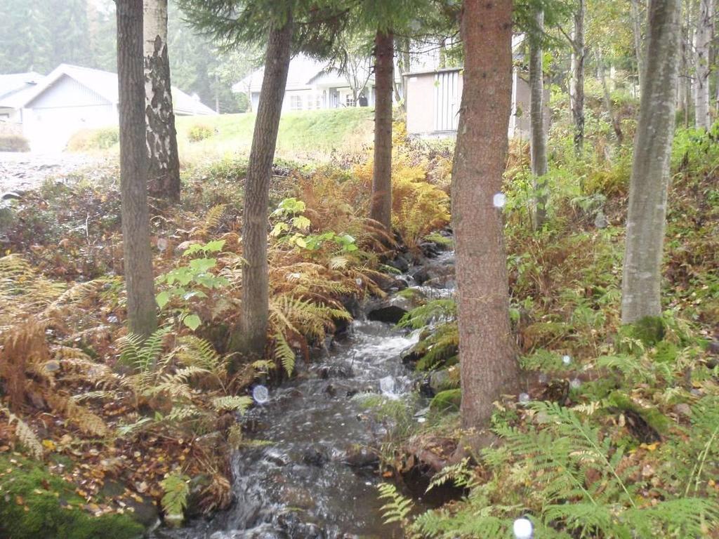 Håksberg. Karteringspunkt 18.