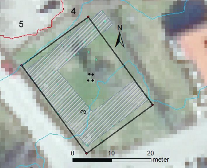 SITUNE DEI Figur 3. Arkeologisk tolkning av georadardata från undersökningsytan i kvarteret Koppardosan, ca 1,1 m under nuvarande mark. Påträffade strukturer är grönmarkerade.
