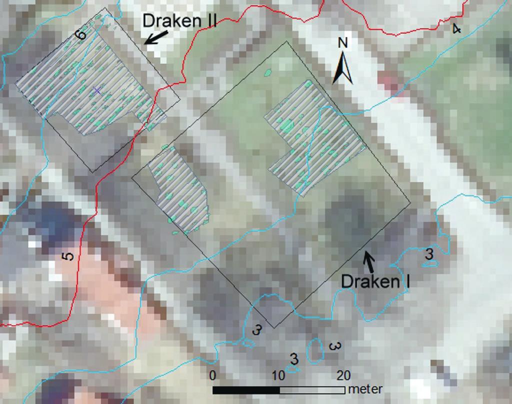 SITUNE DEI Figur 5. Arkeologisk tolkning av georadardata från undersökningsytorna i kvarteret Draken. Påträffade strukturer grönmarkerade.