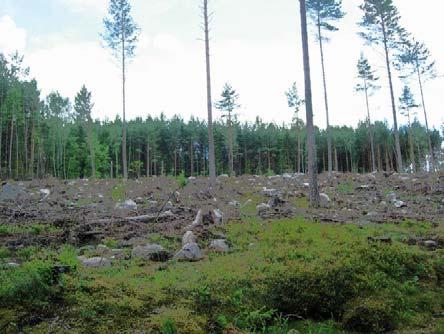 Inventeringen beskriver nuläget och lägger grunden för vidare arbete inom grönplanens område. Inventeringen är även tänkt som underlag till FÖP Hedlandet och för framtida detaljplanläggning.