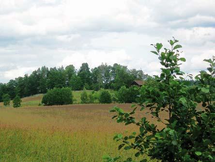 och väster om Bergåsa, norrväst och öster om Hedlanda gård.