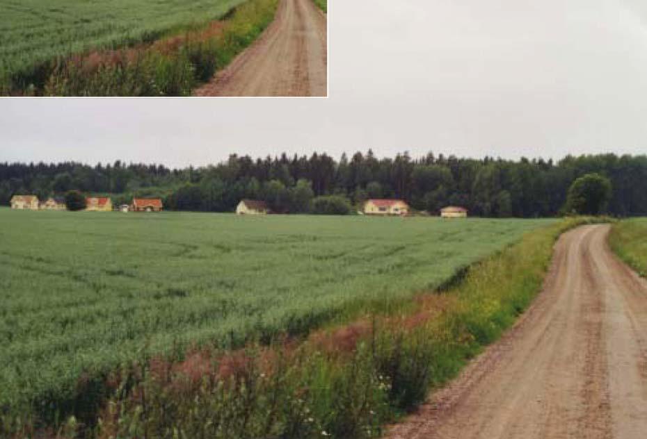 Det småskaliga mosaiklandskapet kring Karlsborg och vid Hedlanda gård I det småskaliga mosaiklandskapet finns ett flertal spår av långvarigt jordbruk där främst betat hagmarksområde med insprängda