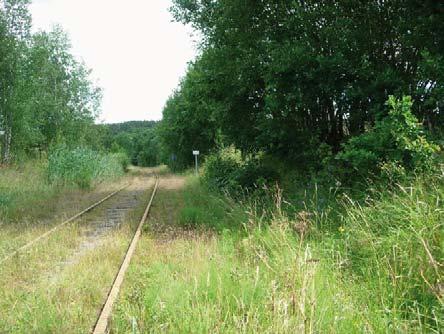 befolkningsunderlaget är för litet för att kollektivtrafiken kunde bidra till att minska antalet bilar. Särskilt den smala Hedlandavägen är redan idag inte anpassad för att ten bör genomföras här.