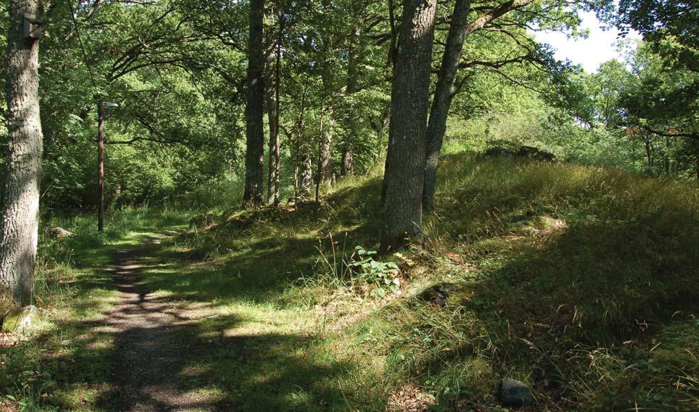 Skogspromenad längs Åkerspåret. 6.1 Användning Inledning I avsnittet 6.1 beskrivs dagens situation i Åker med avseende på befintliga grönytor och rekreationsområden ur ett användarperspektiv.