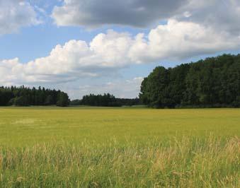 / 37 Hagmark vid Stora Sundby gård. Landskapsbild Spånga. Bondkroken och Stora Sundby gård I planområdets östra del ligger Stora Sundby gård.