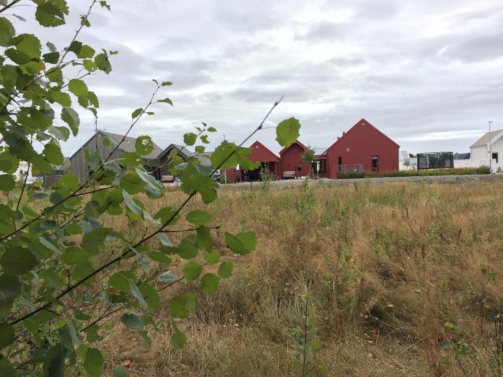 11 miljöbalken, i de delar där den antingen gränsar direkt till jordbruksmark eller är skild från jordbruksmark endast av en mindre grusväg.