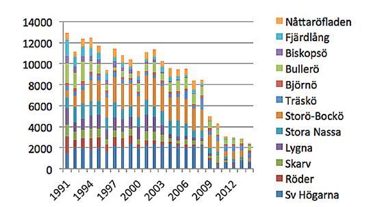 genomförts av Roslagens ornitologiska förening 2013 bekräftar den bild av en viss ökning i innerskärgården och en mycket kraftig minskning i ytterskärgården som mer spridda observationer gett.