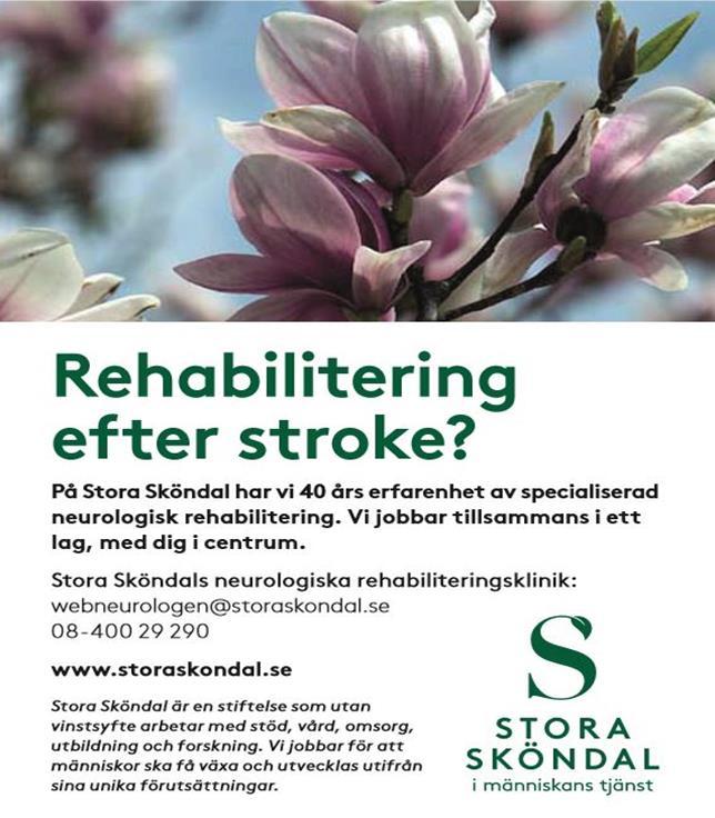 Färdtjänst Nya priser från 1 januari 2019 Prishöjningarna för färdtjänst sker i samband med att priset på SL:s 30-dagarsbiljett förändras.