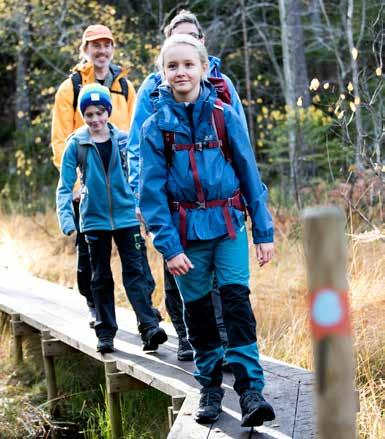 FÖRVALTNING VALBEREDNING, STYRELSE OCH GENERALSEKRETERARE Generalsekreteraren (GS), Lars Lundström och ledningsgruppen skall operativt leda, driva och utveckla Friluftsfrämjandet i enlighet med de