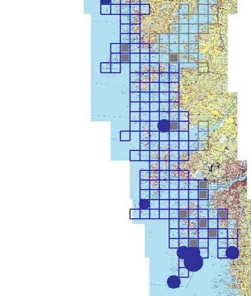 500 450 400 Med observerbarhet Utan observerbarhet Tidigare kända rutor Antal med förekomst av Stinkpadda 350 300 250 200 150 100 50 0 Rutor Öar Figur 6.