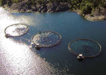 Raisioaqua har kunnat använda närproducerade råvaror, såsom fiskmjöl och fiskolja, allt sedan 2016 då fiskmjölsfabriken i Kasnäs körde igång.