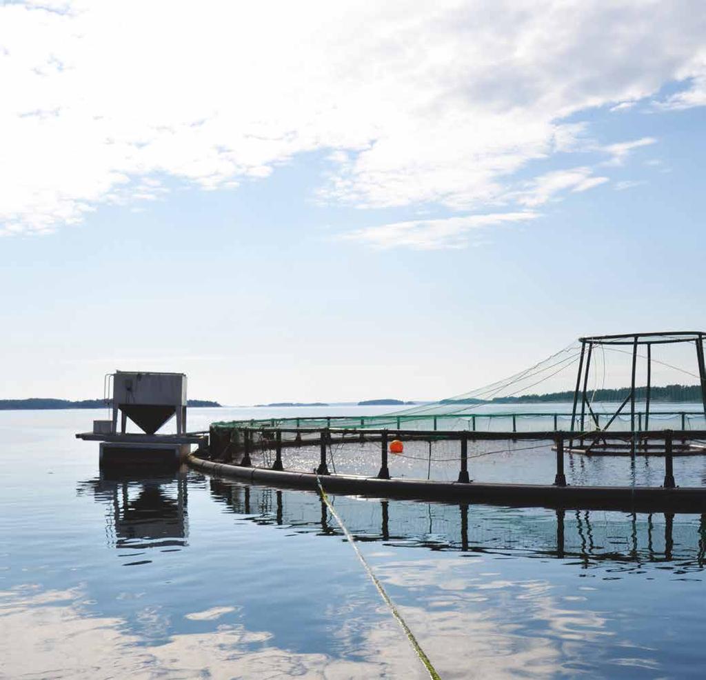 26 AquaMagasinet 1/18 VETENSKAP 27 OCH FORSKNING Uppdatering av våra fodertabeller Våra mycket exakta fodertabeller, som sedan länge är bekanta för alla våra kunder, har nu uppdaterats, och samtidigt