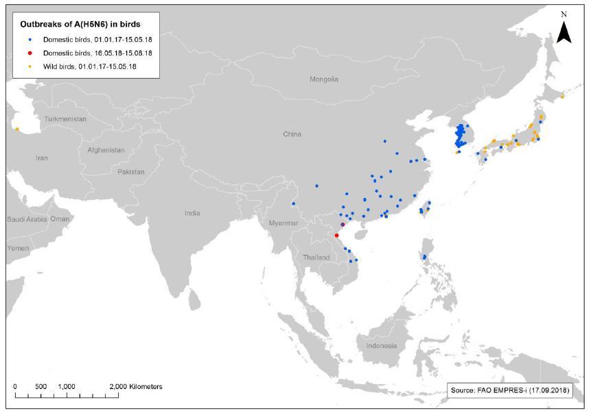 A(H5N6) hos fåglar i Kina