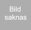 Född: 1961, Sverige Yrke: Kock Jag har arbetat fackligt i vården och förstod snabbt att man måste engagera sig politiskt för att påverka vardagen.