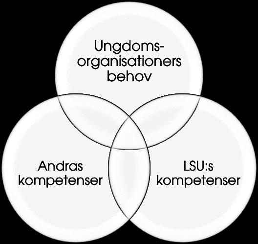 VÅRA NYCKELKOMPETENSER I arbetet med att ta fram denna strategi har vi analyserat vilka som är våra nyckelkompetenser det vill säga det vi kan göra bäst, som ingen annan kan.