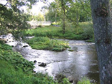 112. Skeboån, Skebobruk Län: 1 Stockholm Beskuggning: <5% Koordinater: 6653250/1656600 Vattennivå: medel Datum: 2008-08-26 Vattenhastighet: strömt Provtagningsmetodik: SS-EN 13946 Grumlighet: klart