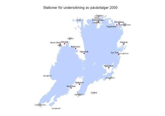 Undersökning av påväxtalger i Vänern hösten 2009 Bakgrund Mikroalg har på uppdrag av Vänerns vattenvårdsförbund med medel från Naturvårdsverket undersökt påväxtalger på tolv platser i Vänern.