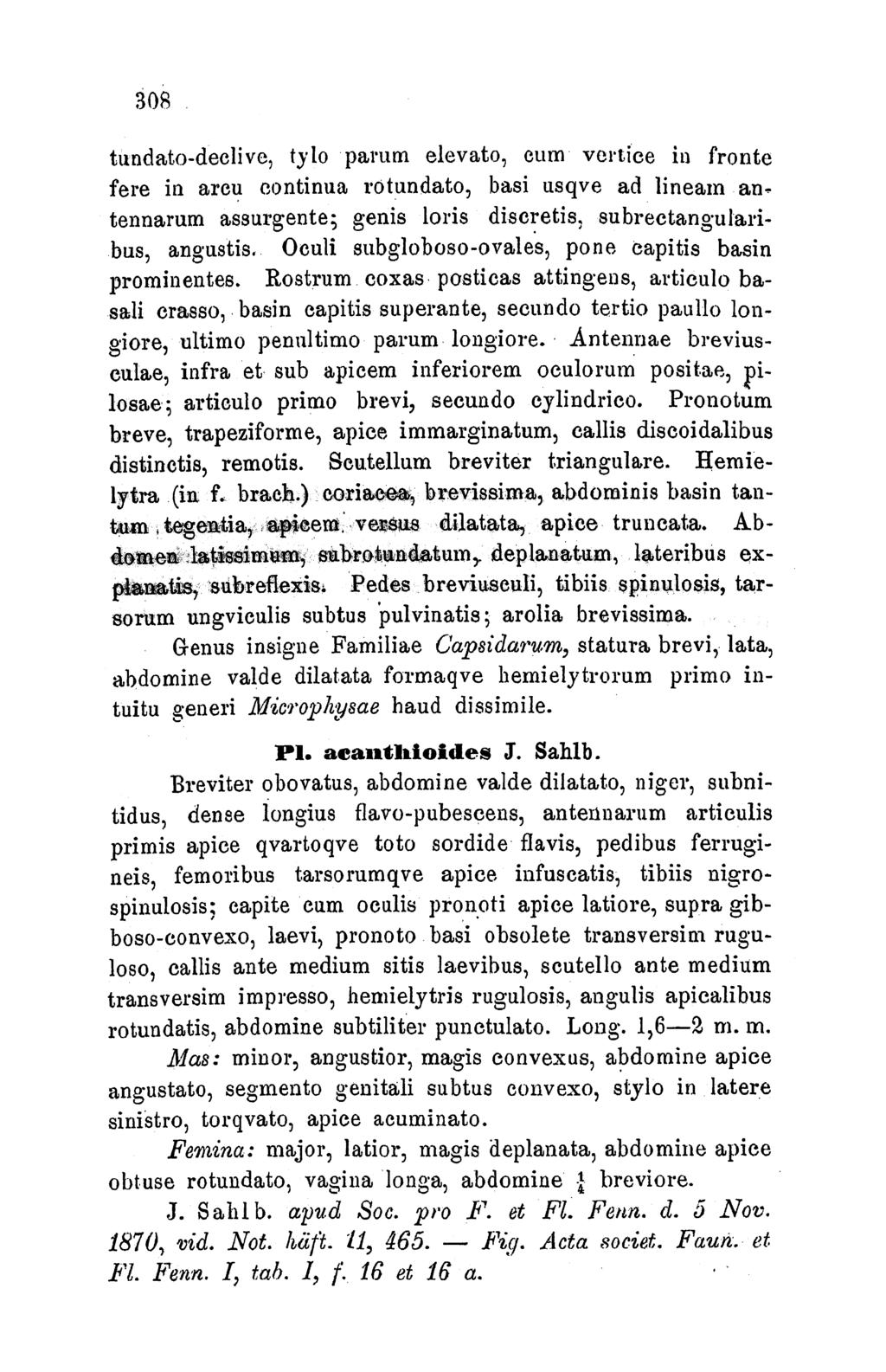 3085 tundato-declive, tylo paruum elevato, cum veltice in fronte fere in arcu continua rotundato, basi usqve ad lineamn antennarum assurgente; genis Loris discretis, subrectangularibus, angustis-