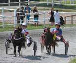 e Judge Joe - 15: 4 0-0-0 18,3a 11 140 14: 0 0-0-0 0 Tot: 4 0-0-0 Fairy e Love You Hultman M F 16/3 -k 4/ 2140 k 21,6 g - - gdk Uppf: Torgersen Tore & Greta Hultman M S 25/3-1 4/ 2140 7 20,1 552 50 2