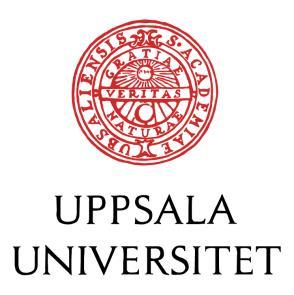 Institutionen för folkhälso- och vårdvetenskap Patientens erfarenhet av bemötande av sjuksköterska på akutmottagning Litteraturöversikt Författare: Maziar