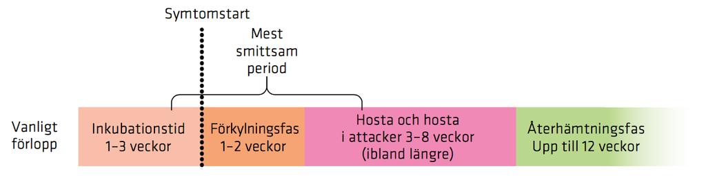 Hos spädbarn börjar det ofta med hosta och apné.