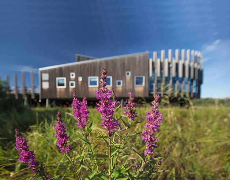 6 BIOSFÄROMRÅDE KRISTIANSTADS VATTENRIKE VERKSAMHETEN 2017 BIOSFÄROMRÅDE KRISTIANSTADS VATTENRIKE VERKSAMHETEN 2017 7 Vattenriket på flera språk Under året kom en ny pekskärm på plats i naturums