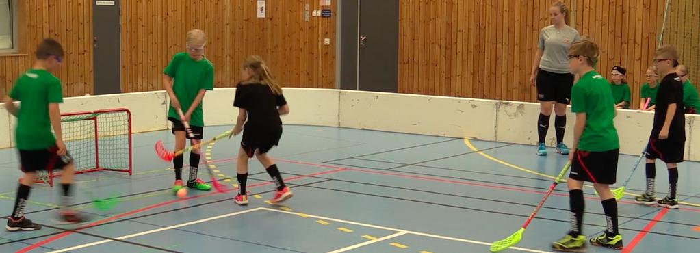 FÖRENKLADE REGLER OCH MATCHLEDARE Förenklade regler Utvisningar ska endast dömas för när en spelare protesterar mot domslut eller uppför sig osportsligt, när en spelare gör sig skyldigt till farligt