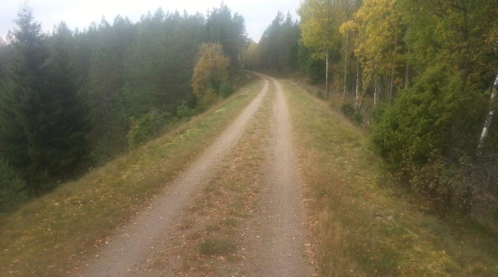 program). Det ser vi fram emot. Liksom den invigning av nya bröder som väntar i november. Om vi har tur kommer 5 bröder att bli medlemmar av vår loge. Hösten kommer med mörker och kyla.