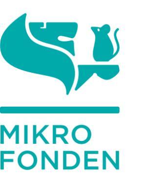 Etablera nätverk med övriga mikrofonder och få en "moderorganisation" (MF Sverige) med tydligt mandat och säkrad finansiering.