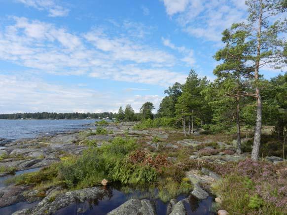 Delområde Södra Rud Stenudden Areal 62 ha