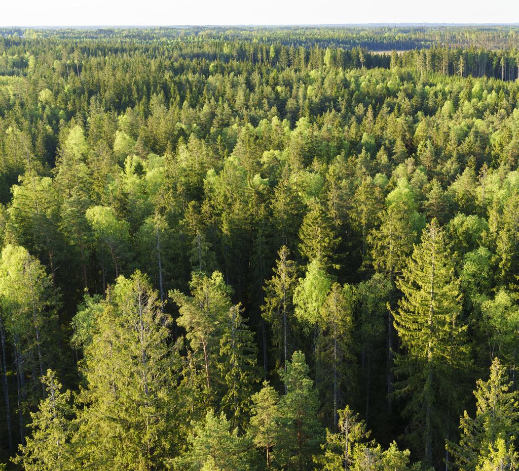 Välkommen till Sörnsengruppen! Kära Kunder, I tre generationer har vi gladeligen haft er i fokus och försökt anstränga oss för att serva er som kunder på bästa sätt.