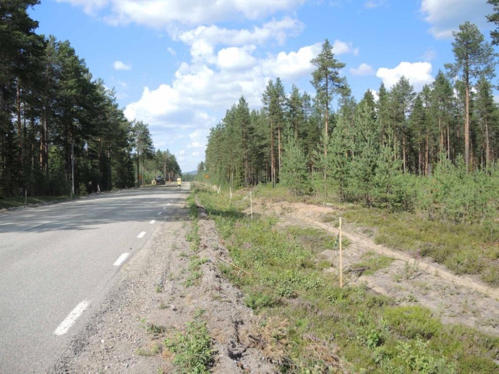 Område 1 ligger ca 13 km SSÖ om Älvsbyn och omkring 1,5 km NV om Sikfors. Området ligger mellan 50-55 m ö h, vilket innebär att hela området ligger nedanför högsta kustlinjen.
