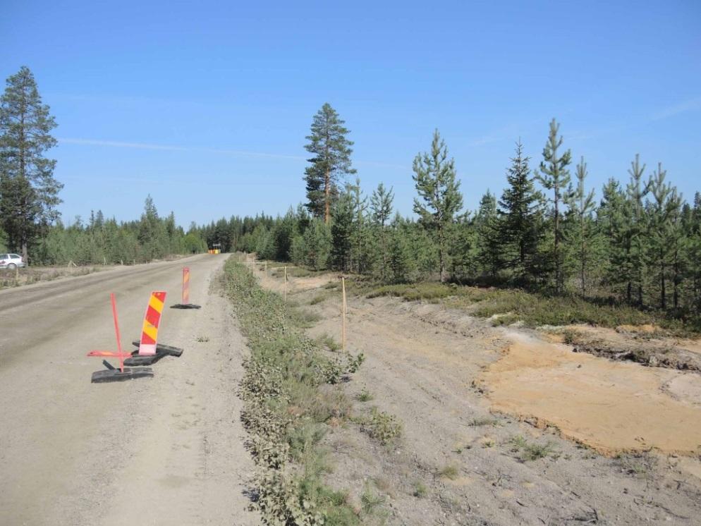 Fotograf: Nils Harnesk Norrbottens museum Område 2 ligger ca 6 km SSÖ om Älvsbyn. Området ligger 80-90 m ö h vilket innebär att även område 2 ligger nedanför högsta kustlinjen.