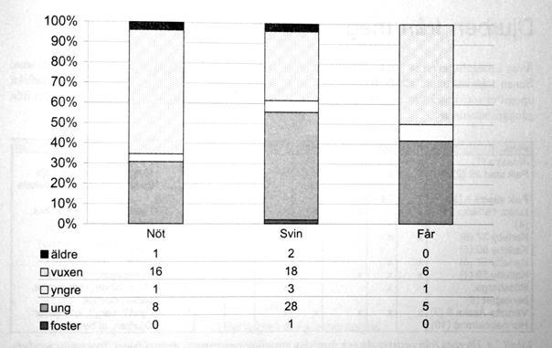 Fördelningen av tamt respektive vilt vid lokalen Logården uppvisar en stark dominans för ben från domesticerade djuren som utgör 96 % av det genomgångna materialet (se Fig.