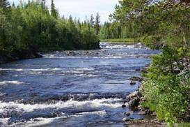 Långseleån börjar vid utloppet från Stor- Arksjön och går sedan via Lill-Arksjön för att slutligen rinna in i Ormsjön.