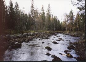 Bergvattenåsystemet Bergvattenånsystemet rinner ca 7 mil från lågfjället Stenbitshöjden, västerut genom sjöarna Eldsjön, Tjusjön, Sallsjön, Mellersjön, Yttersjön, Laiksjön, Korsselet, Avaträsksjön