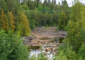 Norr om kraftverket finns en ca 700 m lång, torrlagd åfåra som, innan dammen byggdes, var Tåsjöåns naturliga sträckning. Numera används fåran som en nödtappningsfåra.