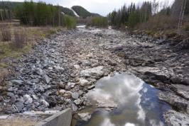 Det finns en kort forssträcka på ca 170 m nedanför regleringsluckorna. Förutom det området finns inga forsande sträckor i närheten.