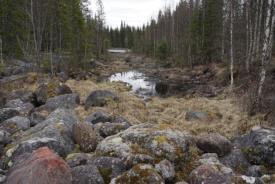 Då regleringsamplituden är 1,85 m behövs en teknisk fiskväg i början av fåran för att få in rätt mängd vatten i fåran vid