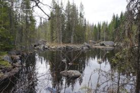 Vid den övre delen av fåran rinner Kvarnbäcken in, ett litet flöde som troligen sinar under en varm sommar med lite nederbörd.