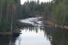 Vängelälvens FVO har försökt att få en fiskräknare till fiskvägen för att mer exakt kunna se hur mycket fisk som vandrar i omlöpet, men detta har i